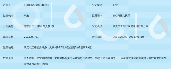 武汉市正信融安信息咨询有限公司全方位解读