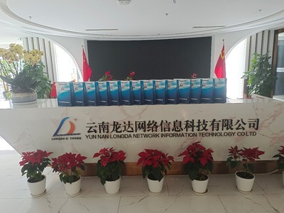 民建云南省委直属产业支部开展“一月访一企”走访调研活动 助力武汉信息咨询行业发展